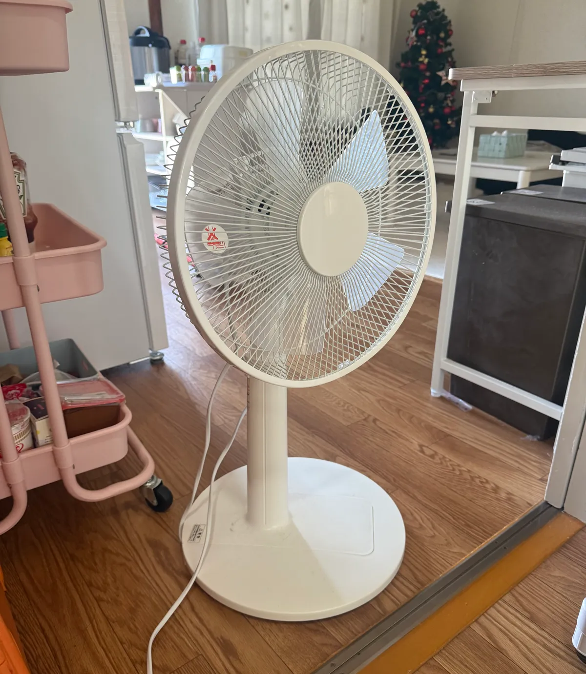 Electric Fan